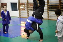 תמונה שצולמה להמחשת העבודות של mma ג'וג'יטסו ברזילאי - 3 אומנויות לחימה למקצוענים