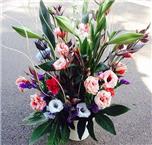 תמונה של פרחים במוריה