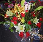 תמונה של פרחים במוריה