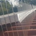 תמונה של גרינלנד הרחקת יונים והדברת מזיקים