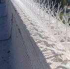 תמונה של גרינלנד הרחקת יונים והדברת מזיקים