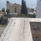 תמונה של גרינלנד הרחקת יונים והדברת מזיקים