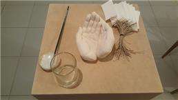 תמונה שצולמה להמחשת העבודות של Benedetta Pedone חוגים וסדנאות