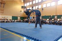 אומנויות לחימה