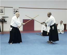 אומנויות לחימה משולבות MMA