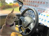 תמונה שצולמה להמחשת העבודות של משה דופלט - מורה לרכב פרטי אוטומט/ ידני (רישיון B) - 3 לימוד בגיר ידני