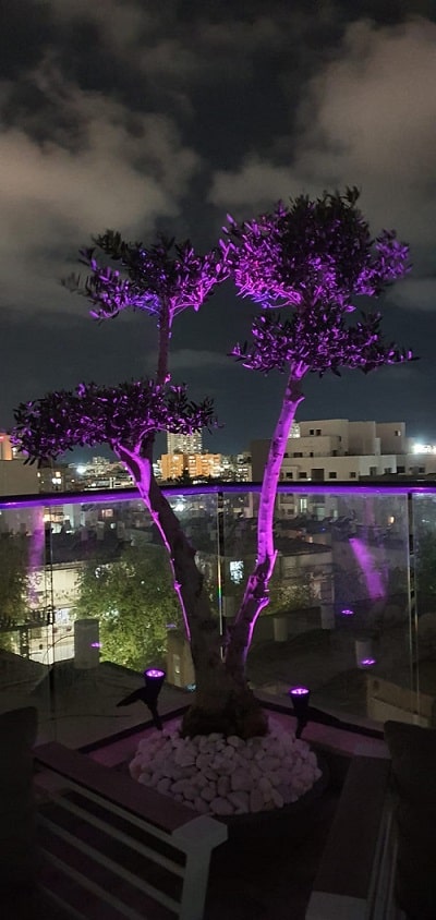 תמונה שצולמה להמחשת העבודות של גל-אור פתרונות תאורה סולארים תאורת אוירה סולארית