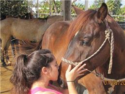 רכיבה מקצועית