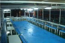 רחבת ריקודים בספינה