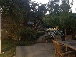 תמונה שצולמה להמחשת העבודות של Rose & Bloom - גינון מקצועי תחזוקת גינה