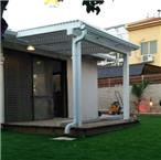 תמונה של עץ צל