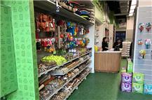 תמונה של אניפט