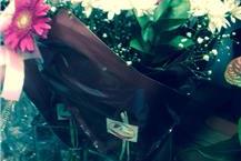 קישוט רכב לחתונה