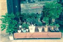 כרטיסי ברכה