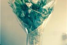 זרים מתוקים