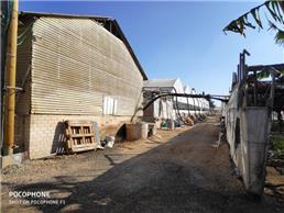 הפחתת שומות למס רכישה