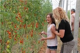 אטרקציות לכל המשפחה