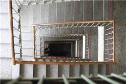 תמונה של דוד אחזקות- ניהול, ניקיון, גינון ופוליש	