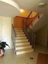 תמונה של דוד אחזקות- ניהול, ניקיון, גינון ופוליש	