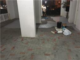 תמונה של דוד אחזקות- ניהול, ניקיון, גינון ופוליש	