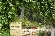 משרד עו"ד - ענת רוזנר