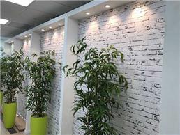 פרקט פורניר