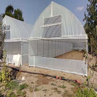 תמונה שצולמה להמחשת העבודות של חממות באקה אמג'ד בע"מ תמונה של חממות באקה אמג'ד בע"מ