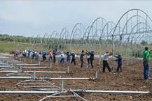 תמונה שצולמה להמחשת העבודות של חממות באקה אמג'ד בע"מ התקנת חממות