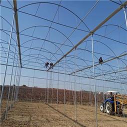 תמונה שצולמה להמחשת העבודות של חממות באקה אמג'ד בע"מ תמונה של חממות באקה אמג'ד בע"מ