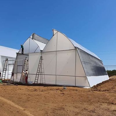 תמונה שצולמה להמחשת העבודות של חממות באקה אמג'ד בע"מ תמונה של חממות באקה אמג'ד בע"מ