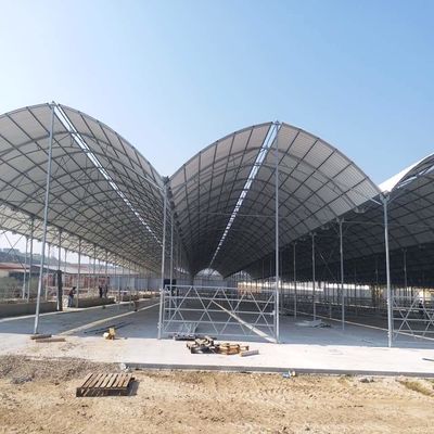 תמונה שצולמה להמחשת העבודות של חממות באקה אמג'ד בע"מ תמונה של חממות באקה אמג'ד בע"מ