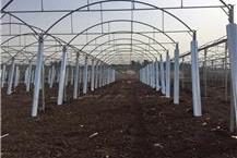 תמונה שצולמה להמחשת העבודות של חממות באקה אמג'ד בע"מ בניית חממות