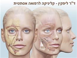 אנטי אייג'ינג