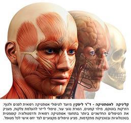 המסת שומן צוואר וסנטר