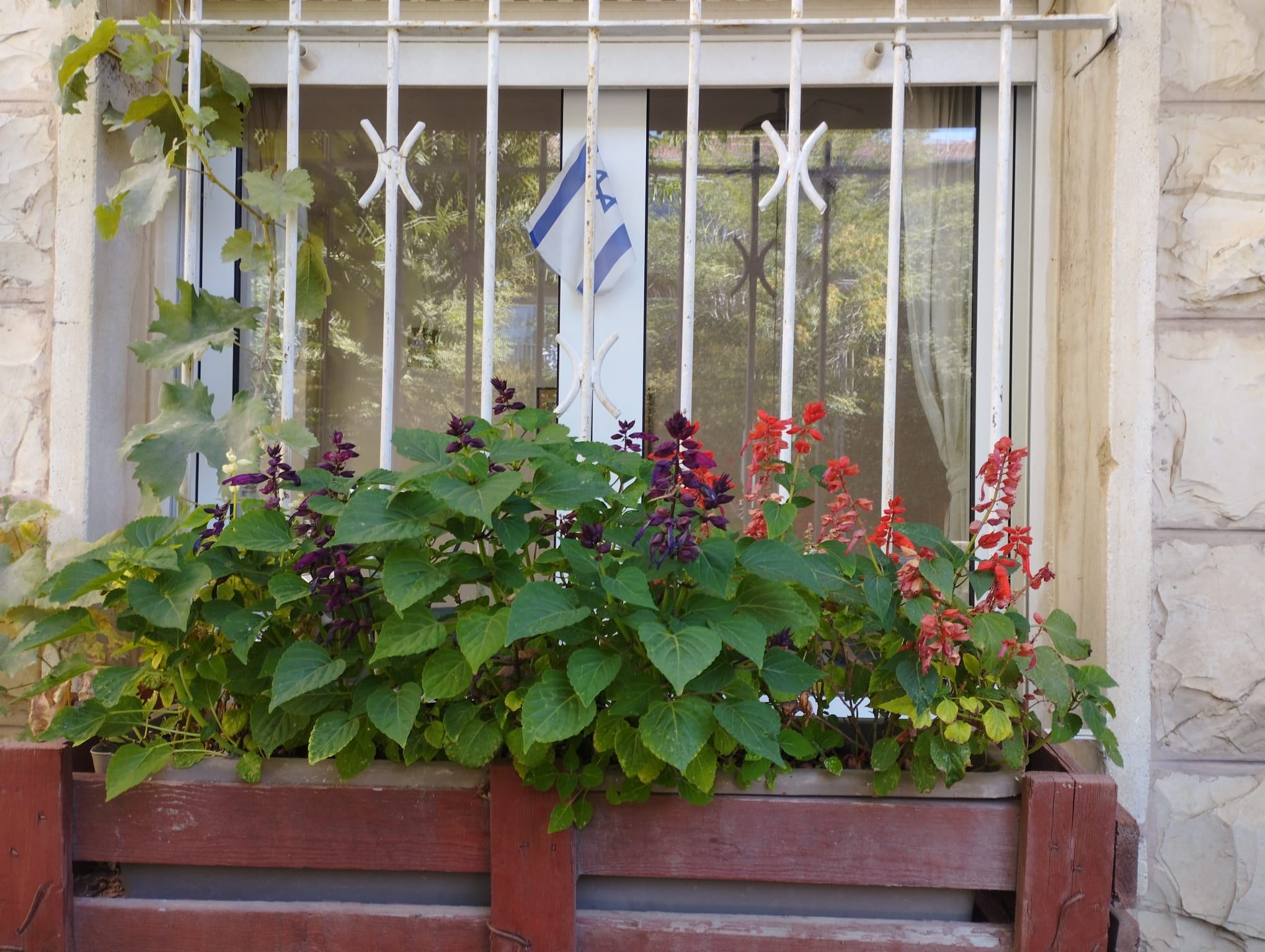 תמונה שצולמה להמחשת העבודות של רועי קוצר עבודות גינון תמונה של רועי קוצר עבודות גינון
