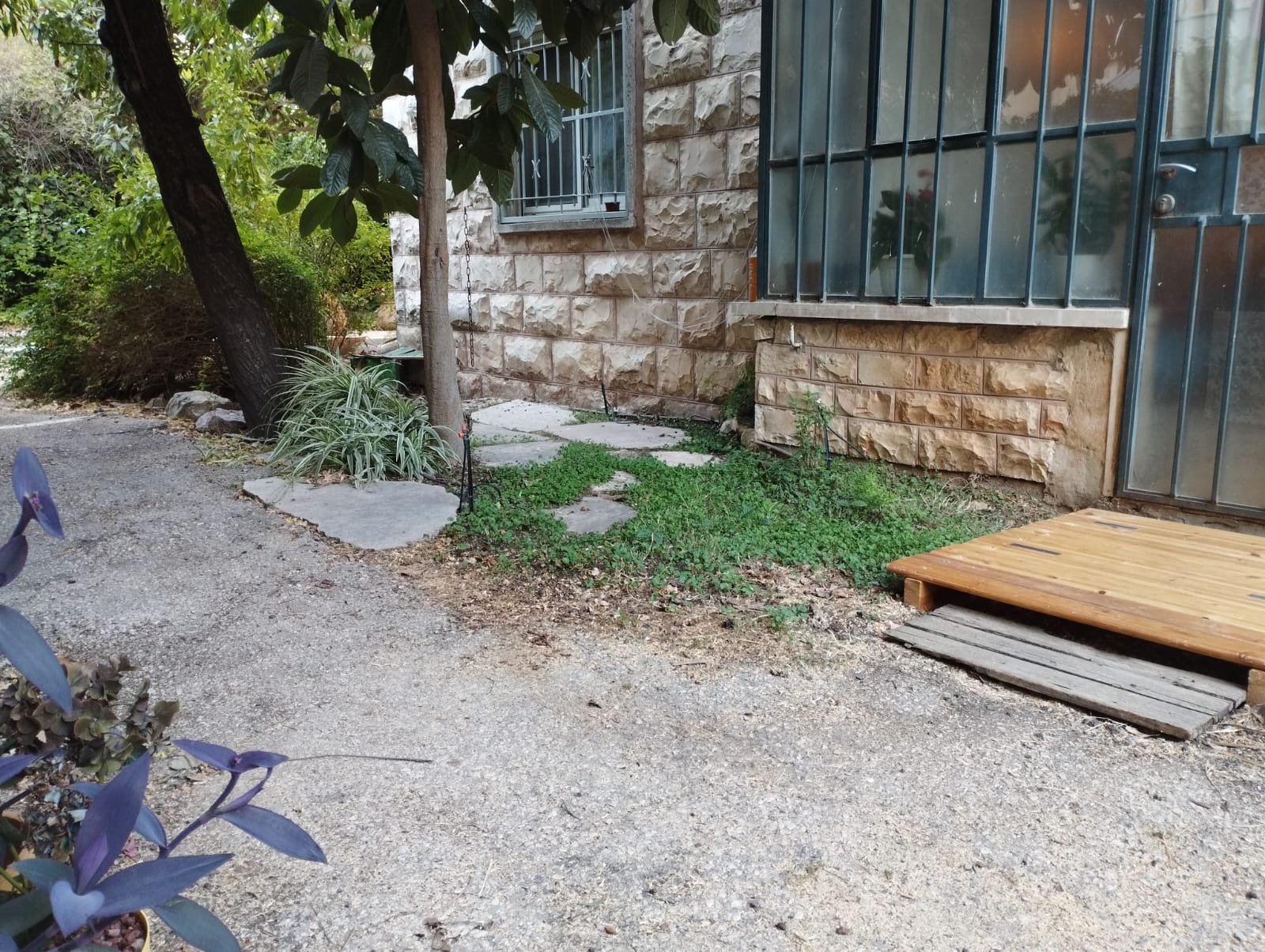 תמונה שצולמה להמחשת העבודות של רועי קוצר עבודות גינון תמונה של רועי קוצר עבודות גינון