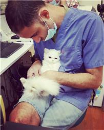 תמונה של ד"ר צחי טיבולי