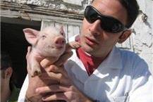 תמונה שצולמה להמחשת העבודות של ד"ר צחי טיבולי - 1 ד"ר צחי טיבולי- שירות וטרינרי מסור ברמת גן