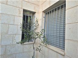 תמונה של מסגריית מוטי סלמון