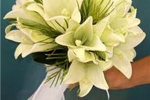 תמונה שצולמה להמחשת העבודות של פרחים במשתלה- חנות פרחים מבית המשתלה של ויקטור - 1 זר כלה