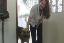 תמונה שצולמה להמחשת העבודות של ד"ר אמיר בק - ראשון לציון טיפולי חירום