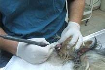 תמונה שצולמה להמחשת העבודות של ד"ר אמיר בק - ראשון לציון שירותי אשפוז