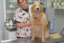 תמונה שצולמה להמחשת העבודות של ד"ר גיחון לוין גלית - 1 ד"ר גלית לוין גיחון