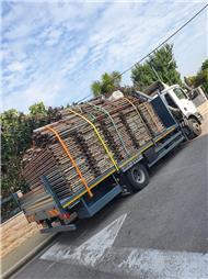 תמונה של דראושה עבודות פיגומים ומנוף