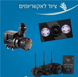תמונה של SEASHOP