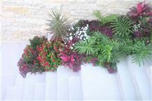 תמונה של עבודות גינון ועיצוב גינון