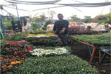 שיקום וחידוש גנים