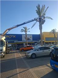 תמונה של ש.א הובלות מנופים ועבודות סל בגובה