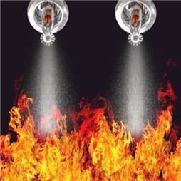 תמונה של ברקי אש-מערכות אש ועשן