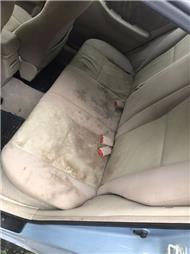 תמונה של clean vip